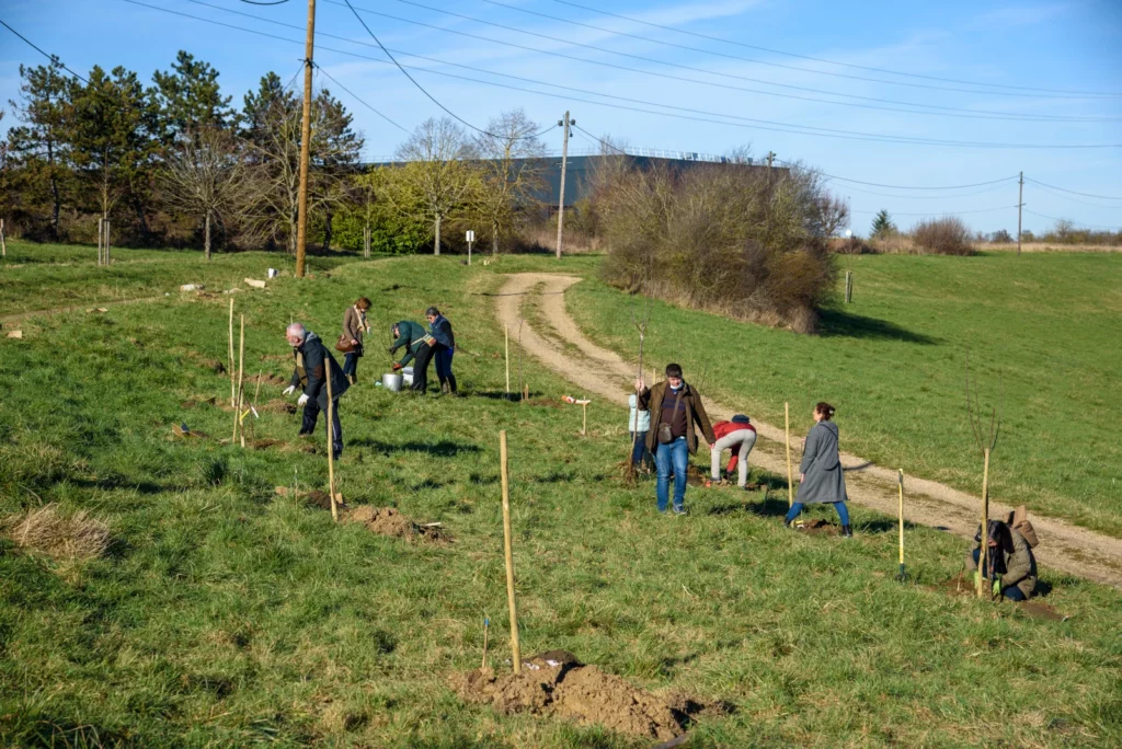 Découvrez les vergers participatifs sur le territoire de SQY ! 5 plantation verger participatif La Verrière Val Favry