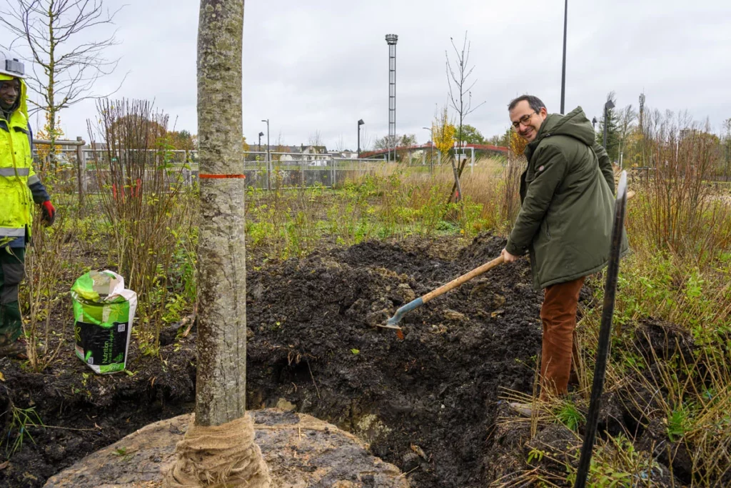 SQY plante 12 arbres remarquables sur le territoire 3 Arbre remarquable La Verrière canopé