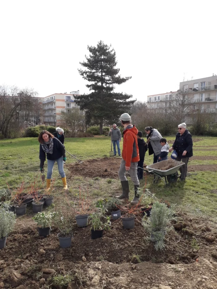 Le projet d’agriculture urbaine du Buisson 14 Chantiers de plantation des premiers arbres et petits fruitiers des 8 et 9 mars 2025