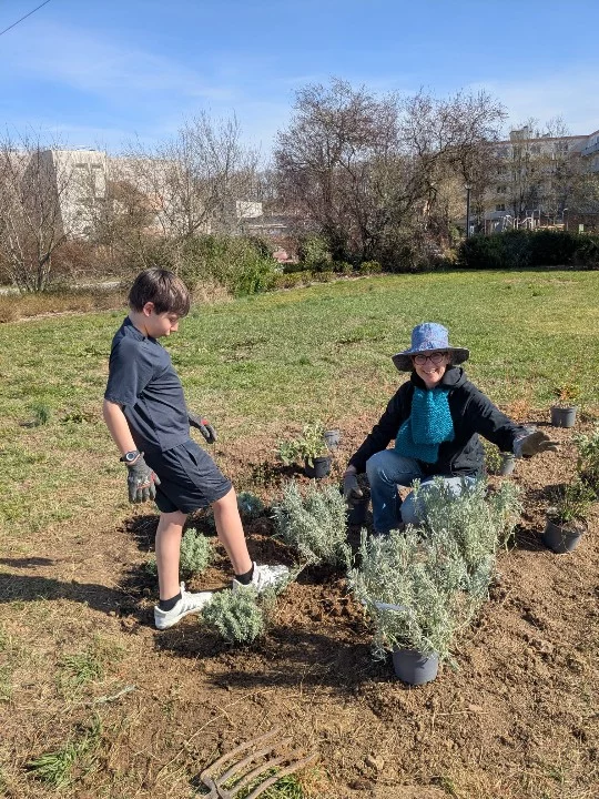 Le projet d’agriculture urbaine du Buisson 11 Chantiers de plantation des premiers arbres et petits fruitiers des 8 et 9 mars 2025