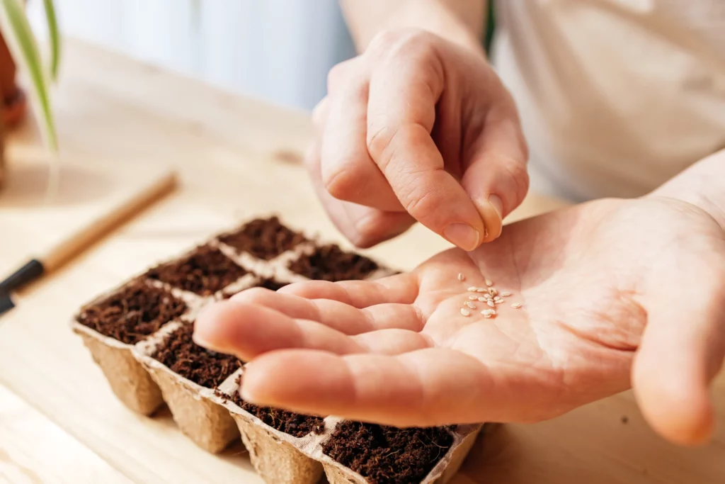 Silence, ça pousse ! 🌱 SQY vous aide pour vos plantations 21 plantations à SQY