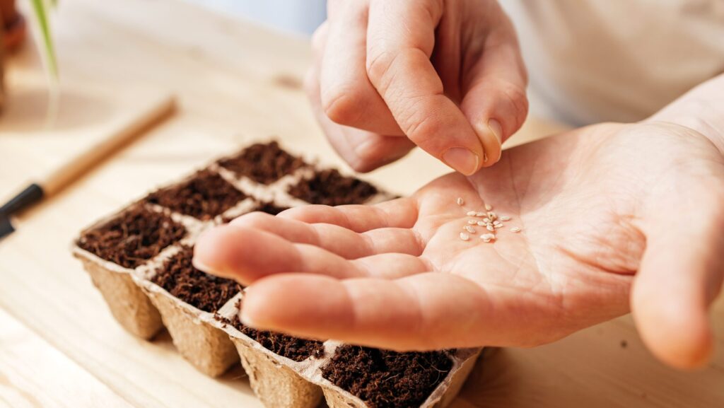 Silence, ça pousse ! 🌱 SQY vous aide pour vos plantations 2 plantations à SQY