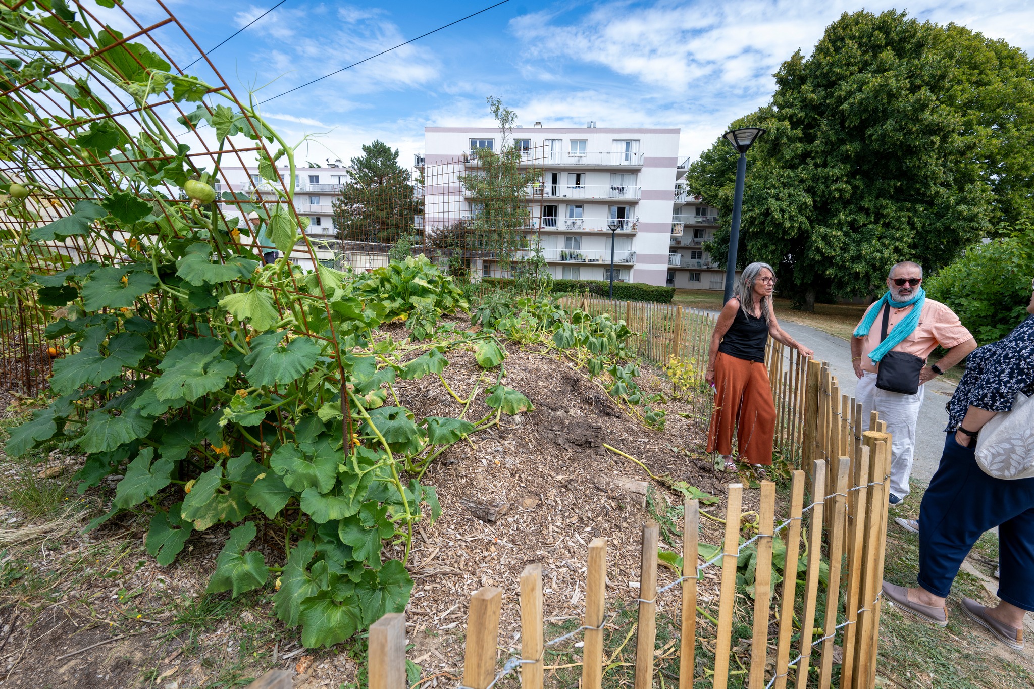 Jardin partagé du buisson, projet d'agriculture urbaine B Houillon, stand DEP Compostage