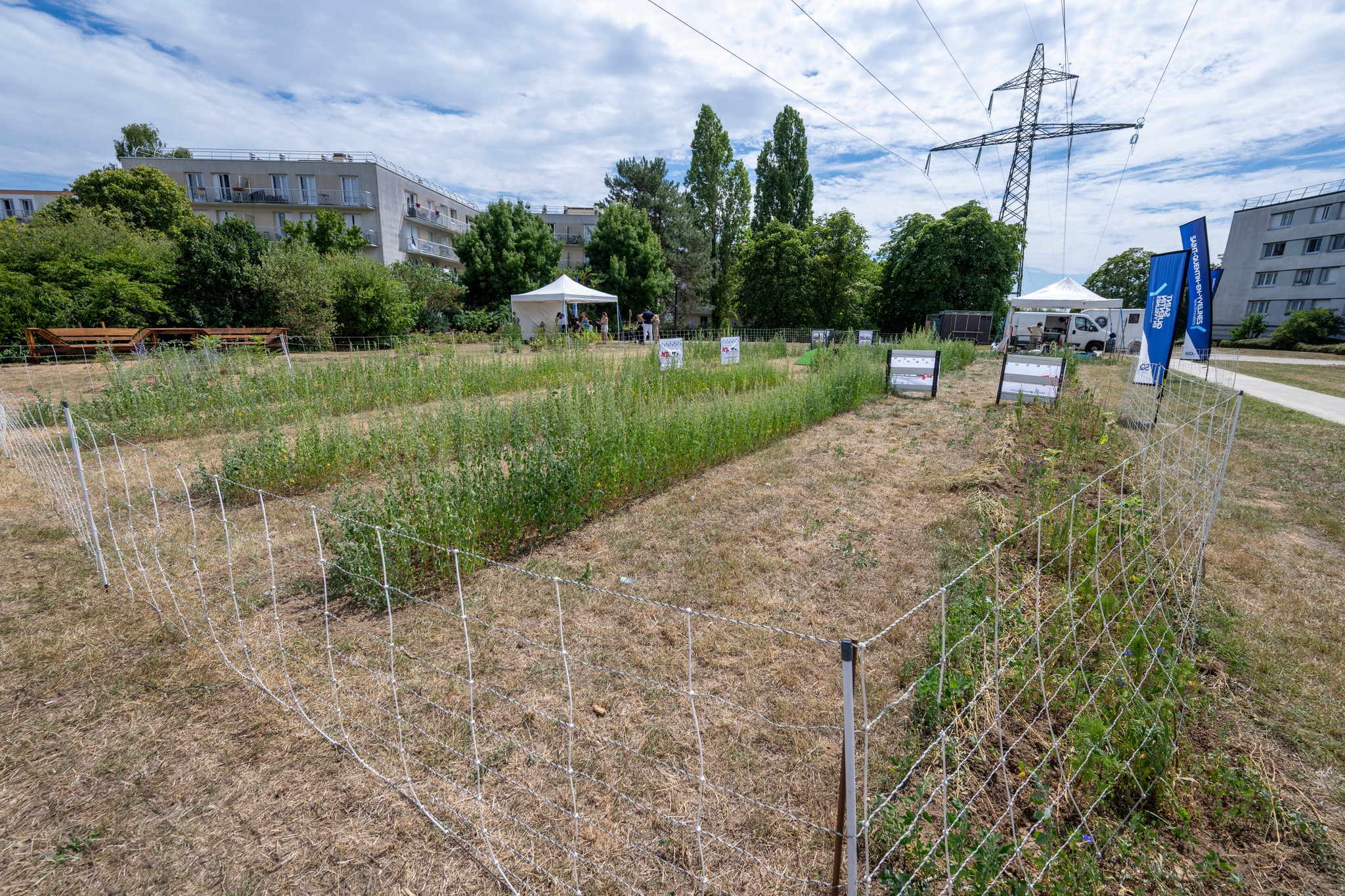 Jardin partagé du buisson, projet d'agriculture urbaine B Houillon, stand DEP Compostage