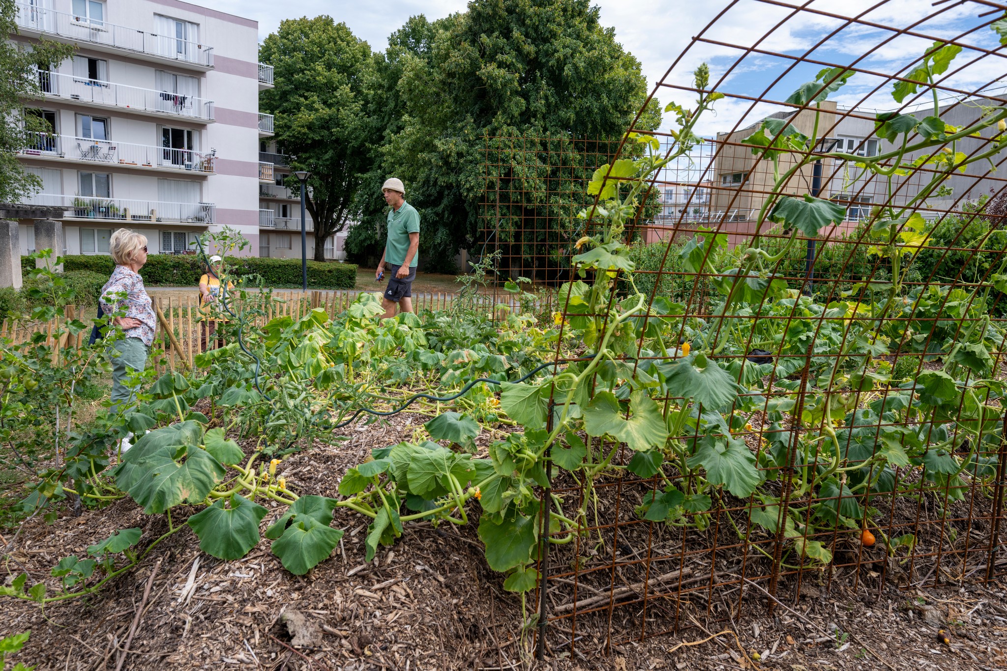 Jardin partagé du buisson, projet d'agriculture urbaine B Houillon, stand DEP Compostage