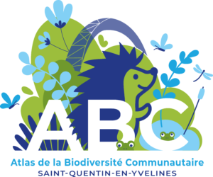 ABC SQY VF RVB 1 HD 1