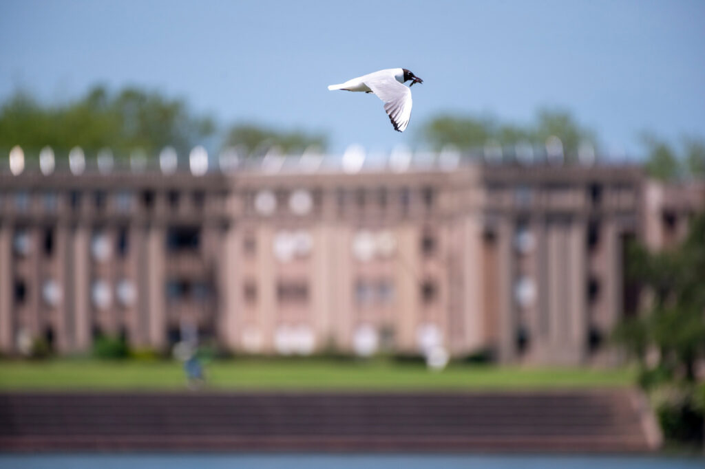 ABC Saint-Quentin-en-Yvelines