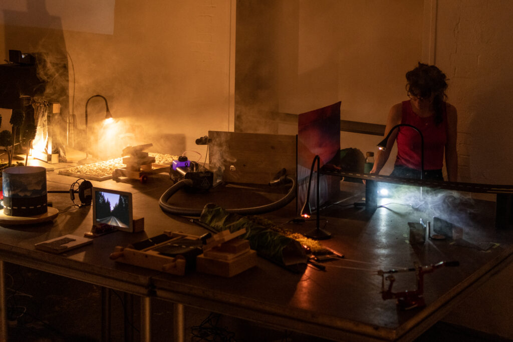 Artiste : Amandine Lecuyer