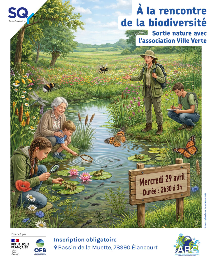 Formats digitaux POST CARROUSEL