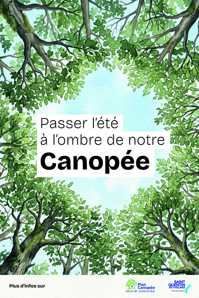 Plan Canopée