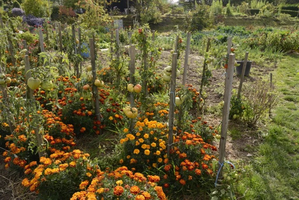 Rendez-vous aux jardins SQY Élancourt