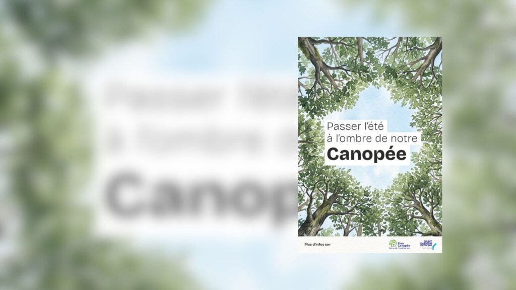 Plan canopee SQY