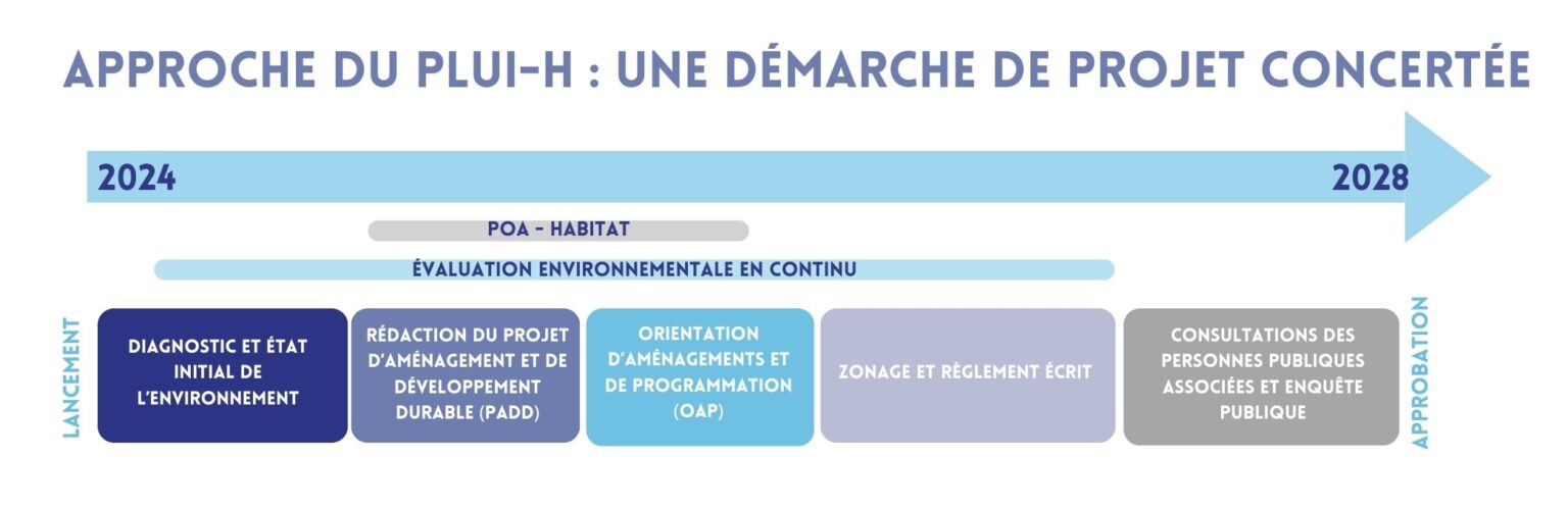frise chrono projet