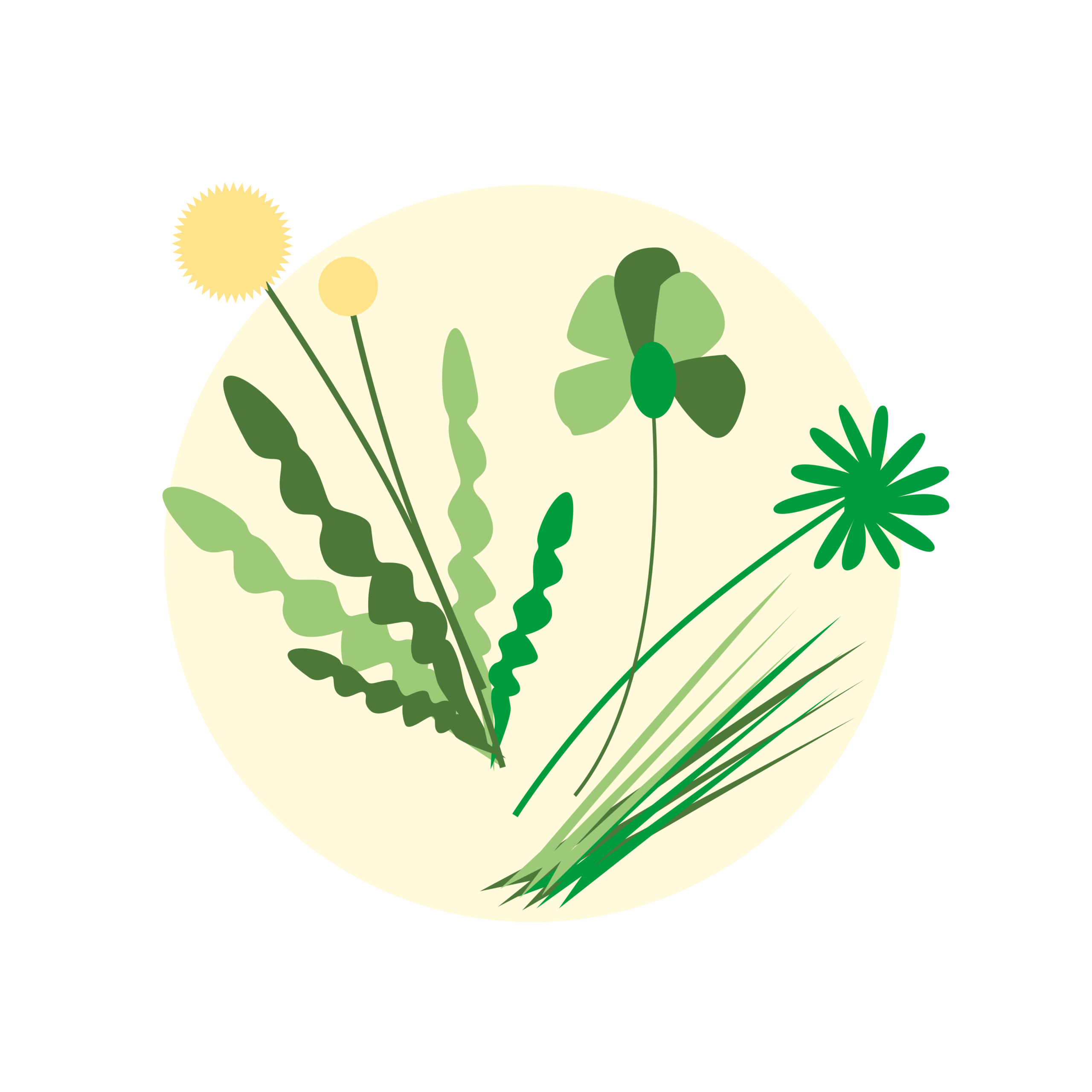 Herbes Fleurs scaled