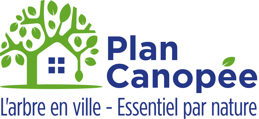 Logo Canopee arbre SANS contours blancs RVB 150 dpi