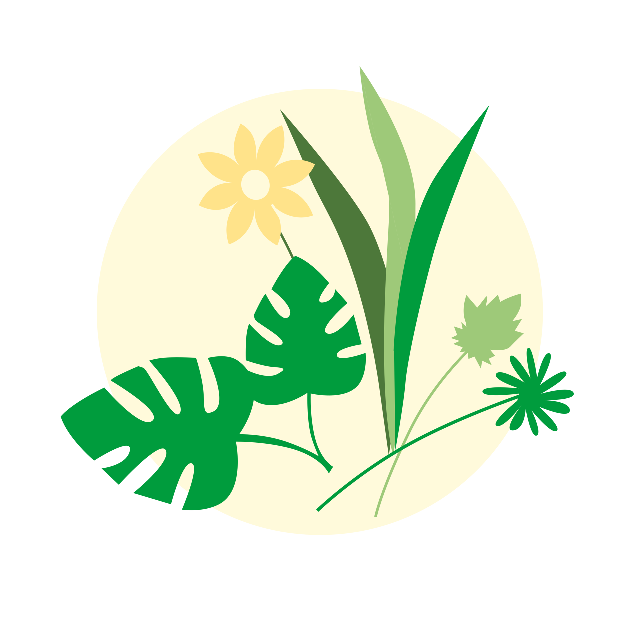 Plantes Fleurs scaled
