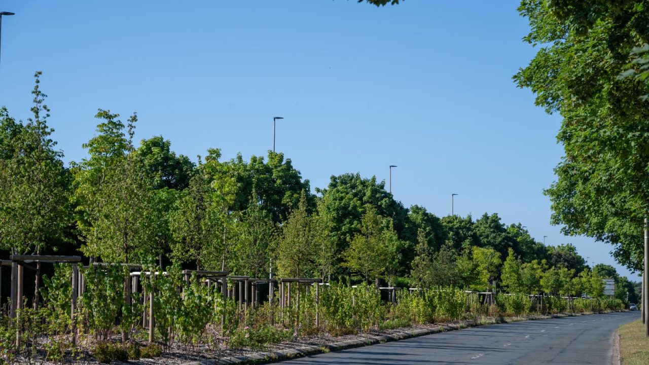 Arbre à SQY