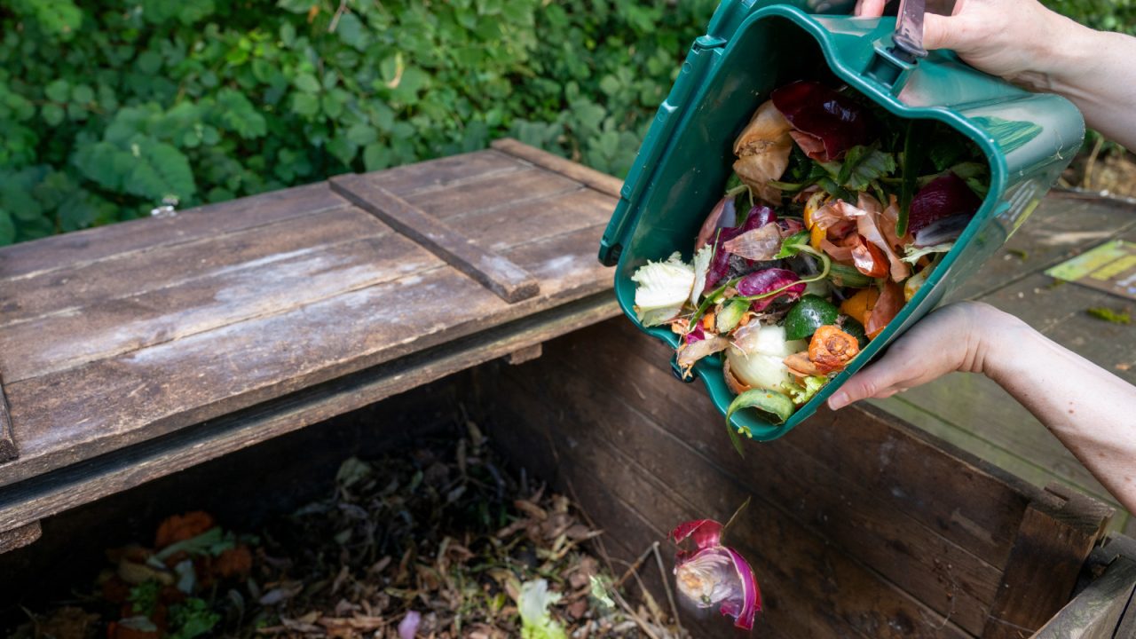 Illustration compostage DEP guide du compostage