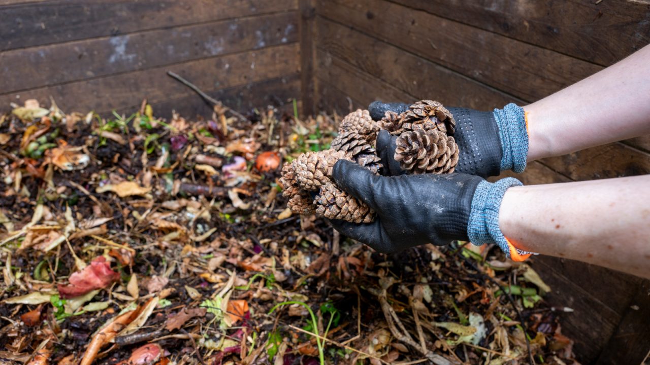 Illustration compostage DEP guide du compostage