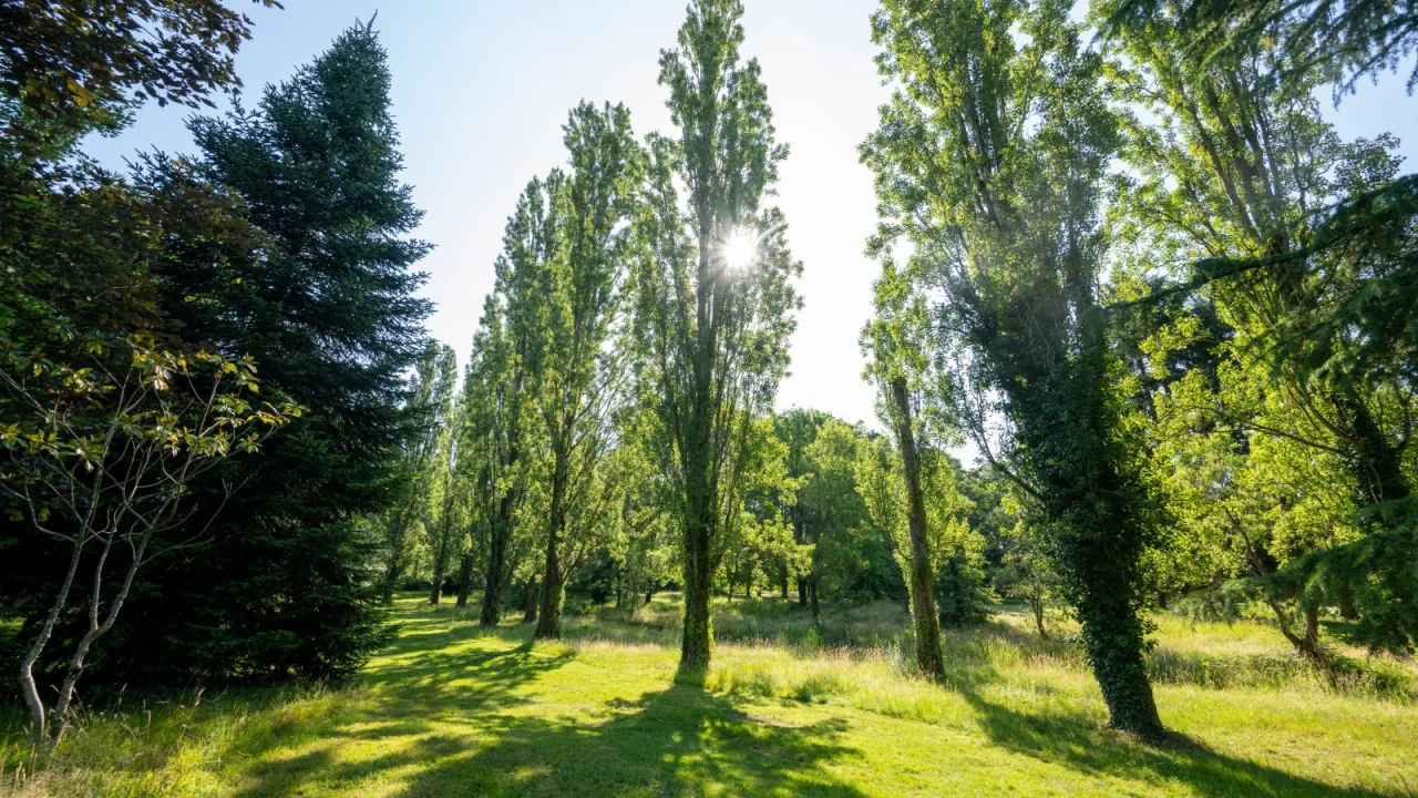 ParcDuVillageCL153